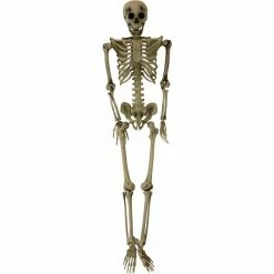 Fraser Hill Farm Igor The 5-ft. Poseable Skeleton, Indoor/Covered Outdoor Halloween Decoration