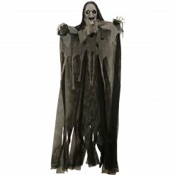 Fraser Hill Farm Haunted Hill Farm 6-ft. Hanging Witch Animatronic, Poseable, Battery-Operated
