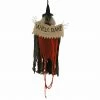 Fraser Hill Farm Haunted Hill Farm 6.25-ft. Hanging Witch Animatronic, Poseable, Battery-Operated