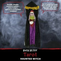 Fraser Hill Farm Haunted Hill Farm 6-Ft. Hanging Fortune Teller With Multi-Color Crystal Ball, Indoor Or Covered Outdoor Halloween Decor, Battery-Operated, HHFTWTC-2HLS -Fraser Hill Farms Shop unnamed file 2246