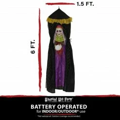 Fraser Hill Farm Haunted Hill Farm 6-Ft. Hanging Fortune Teller With Multi-Color Crystal Ball, Indoor Or Covered Outdoor Halloween Decor, Battery-Operated, HHFTWTC-2HLS -Fraser Hill Farms Shop unnamed file 2247