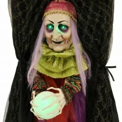 Fraser Hill Farm Haunted Hill Farm 6-Ft. Hanging Fortune Teller With Multi-Color Crystal Ball, Indoor Or Covered Outdoor Halloween Decor, Battery-Operated, HHFTWTC-2HLS -Fraser Hill Farms Shop unnamed file 2248