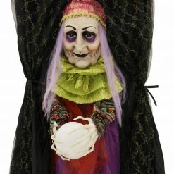 Fraser Hill Farm Haunted Hill Farm 6-Ft. Hanging Fortune Teller With Multi-Color Crystal Ball, Indoor Or Covered Outdoor Halloween Decor, Battery-Operated, HHFTWTC-2HLS -Fraser Hill Farms Shop unnamed file 2252