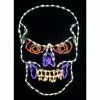 Fraser Hill Farm Haunted Hill Farm Halloween Scary Skull LED Light (24 In. X 36 In)